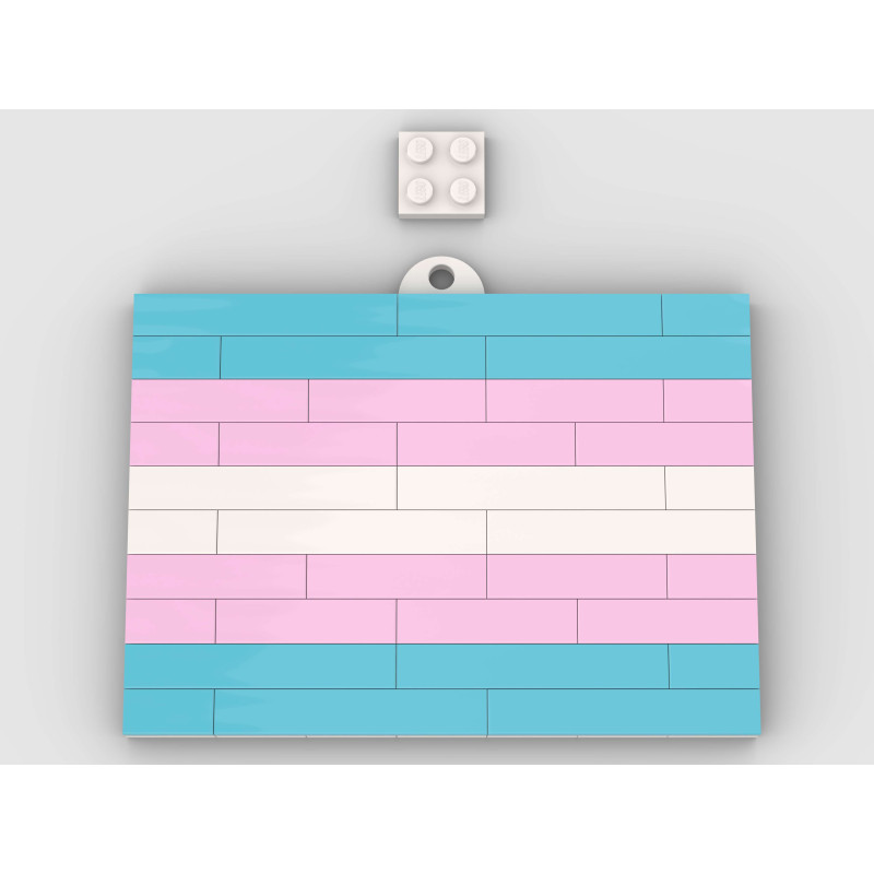 Lego Flag - Transgender