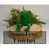 Sour Frog Crochet